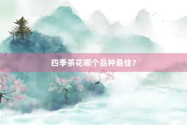 四季茶花哪个品种最佳？