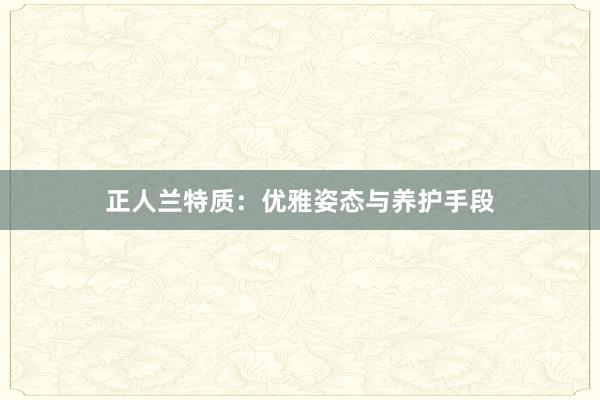 正人兰特质：优雅姿态与养护手段