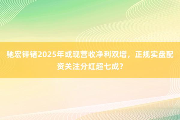 驰宏锌锗2025年或现营收净利双增，<a href=