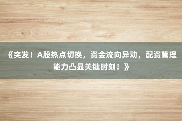 《突发！A股热点切换，资金流向异动，配资管理能力凸显关键时刻！》