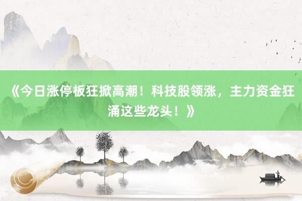 《今日涨停板狂掀高潮！科技股领涨，主力资金狂涌这些龙头！》