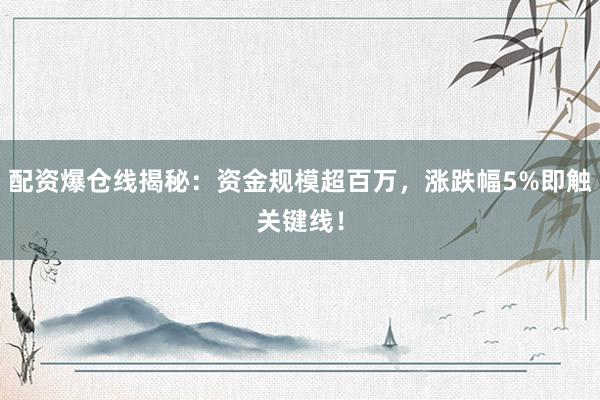 配资爆仓线揭秘：资金规模超百万，涨跌幅5%即触关键线！