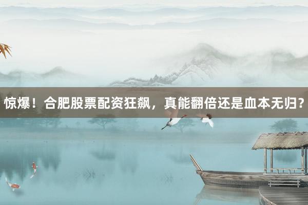 惊爆！合肥股票配资狂飙，真能翻倍还是血本无归？