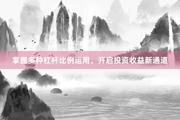 掌握多种杠杆比例运用,开启投资收益新通道