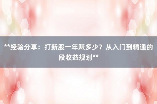 **经验分享：打新股一年赚多少？从入门到精通的段收益规划**