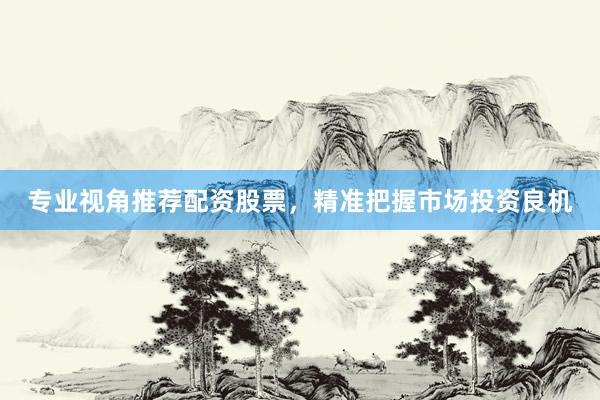 专业视角推荐配资股票，精准把握市场投资良机