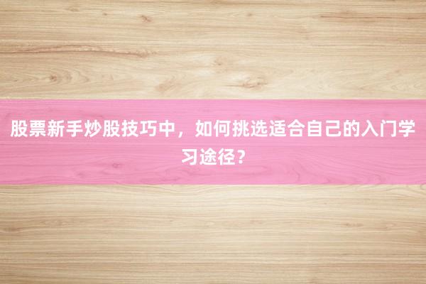 股票新手炒股技巧中,如何挑选适合自己的入门学习途径?