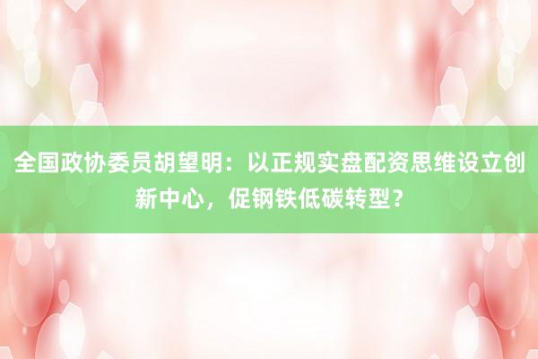 全国政协委员胡望明：以正规实盘配资思维设立创新中心，促钢铁低碳转型？